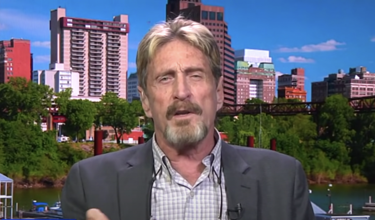 What REALLY Happened To John McAfee?